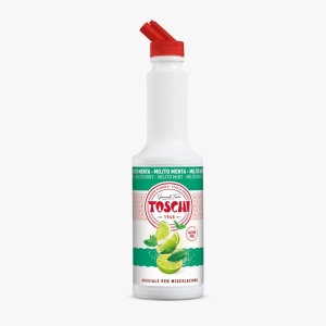 Piure de mojito mint Toschi 1kg