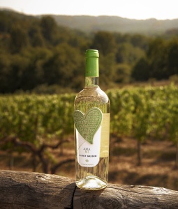 Vin Alb Pinot Grigio IGP AMAMI Cinquesegni 750 ml - Img 2