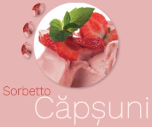 Inghetata de capsuni, sorbet vegan, Antica Gelateria del Corso vascheta 2.690g - Img 4