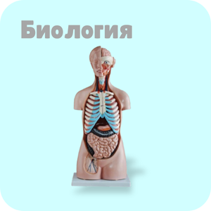 Биология