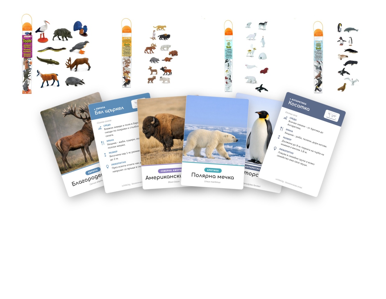 Комплект: Зоологически атлас Умерени и полярни зони - карти и фигурки