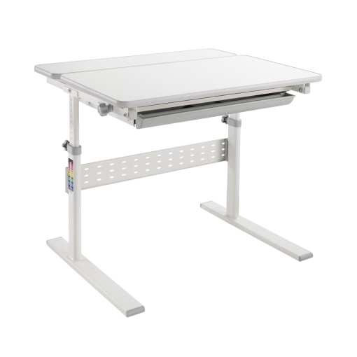Ergo Kids Бюро с регулируема височина, детско, сиво, 800 х 660 х 540-760 mm, RFG