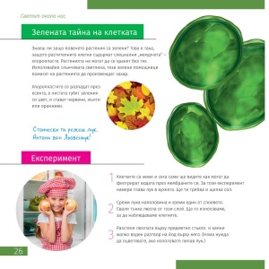 Монокулярен биологичен микроскоп Pico – увеличение 40–400x - Img 7