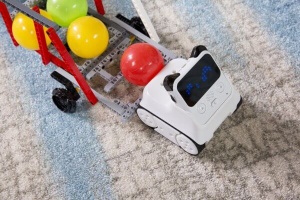 Codey Rocky за 6+ годишни - Img 5