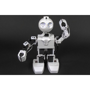 Образователен робот JD Humanoid (EZ-Robot)
