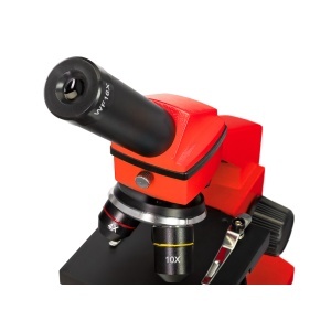 Биологичен микроскоп Rainbow 2L PLUS – монокулярен, 64–640x - Img 8