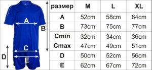 Екип за футбол/ волейбол/ хандбал, фланелка с шорти - син - Img 2