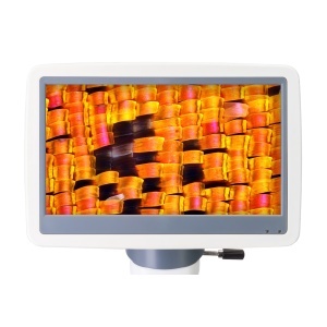 Цифров микроскоп D95L LCD с 7" екран - Img 6