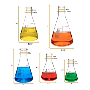 EduLab Borosilicate Complete Set 50–1000 ml – Комплект 5 ерленмайерови колби с пяна - Img 4