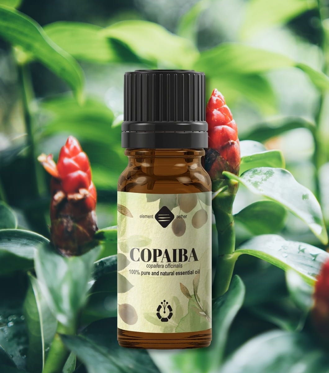 Ellemental, Ulei esențial de Copaiba, 10 ml - 1 | YEO