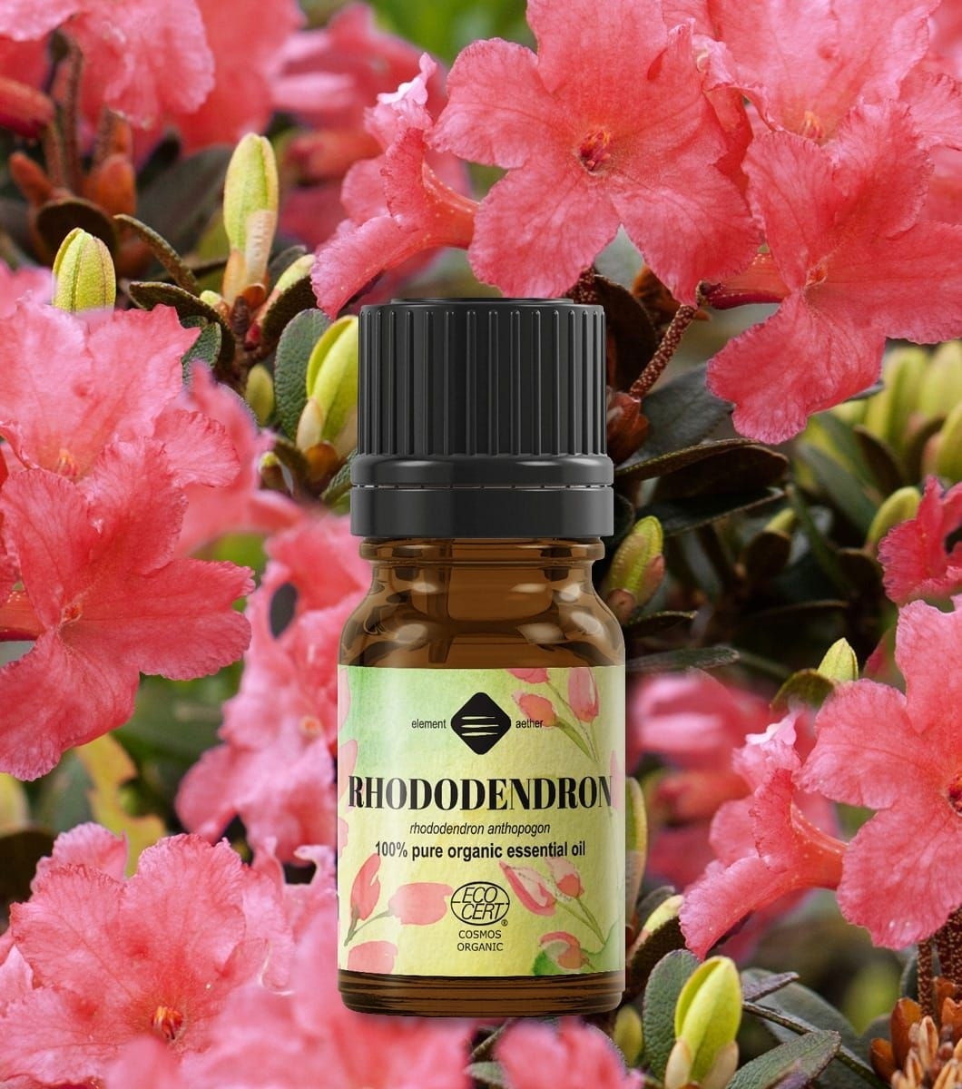 Ellemental, Ulei esențial de Rhododendron Bio, 5 ml - 1 | YEO