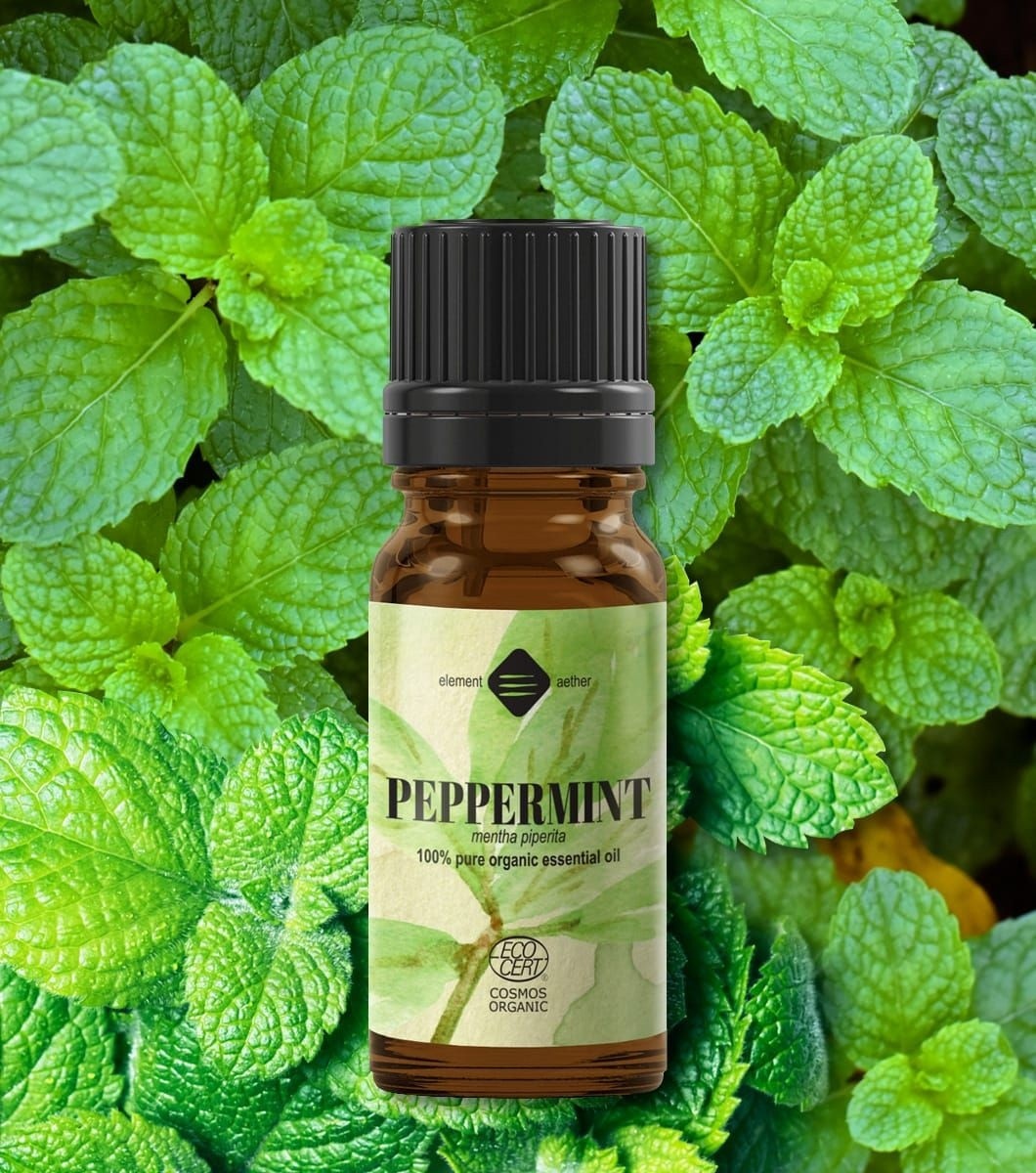 Ellemental, Ulei esențial de Mentă Bio, 10 ml - 1 | YEO