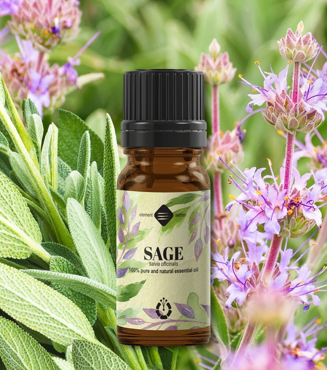 Ellemental, Ulei esențial de Salvie Oficinală, 10 ml - 1 | YEO