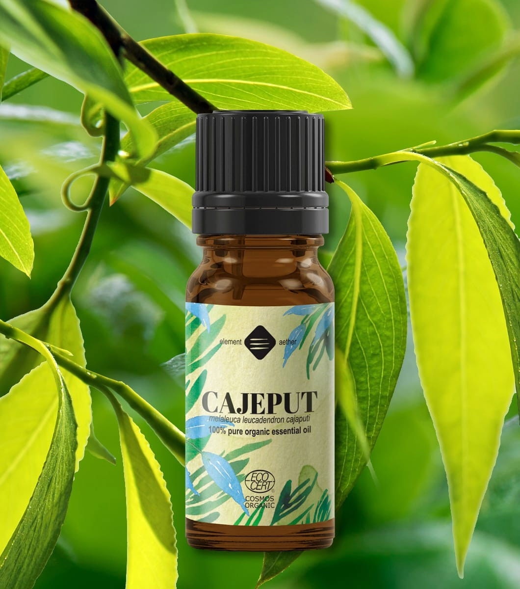 Ellemental, Ulei esențial de Cajeput Bio, 10 ml - 1 | YEO