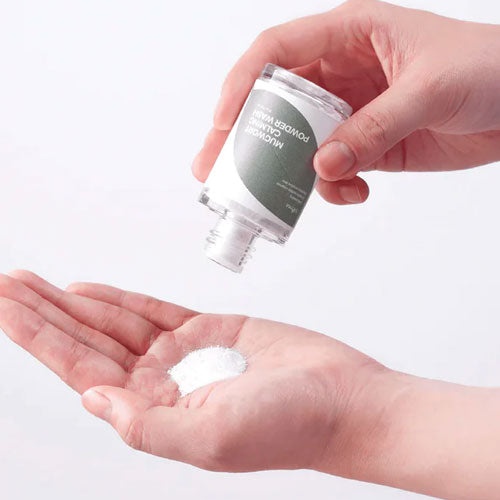 ISNTREE, Mugwort Calming Powder Wash, pudră calmantă de curățare, 15 g