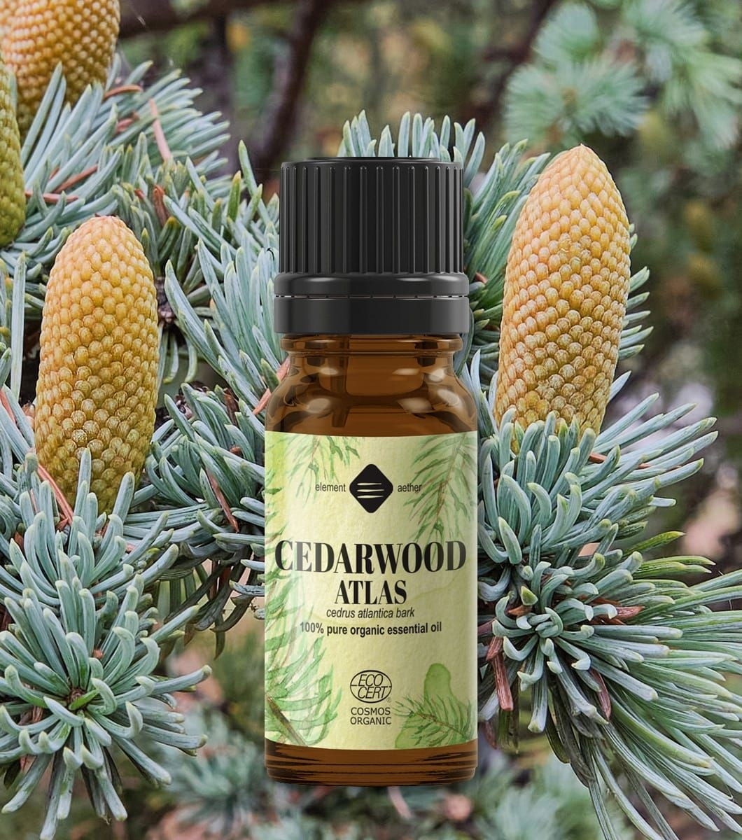 Ellemental, Ulei esențial de Cedru Atlas Bio, 10 ml - 1 | YEO