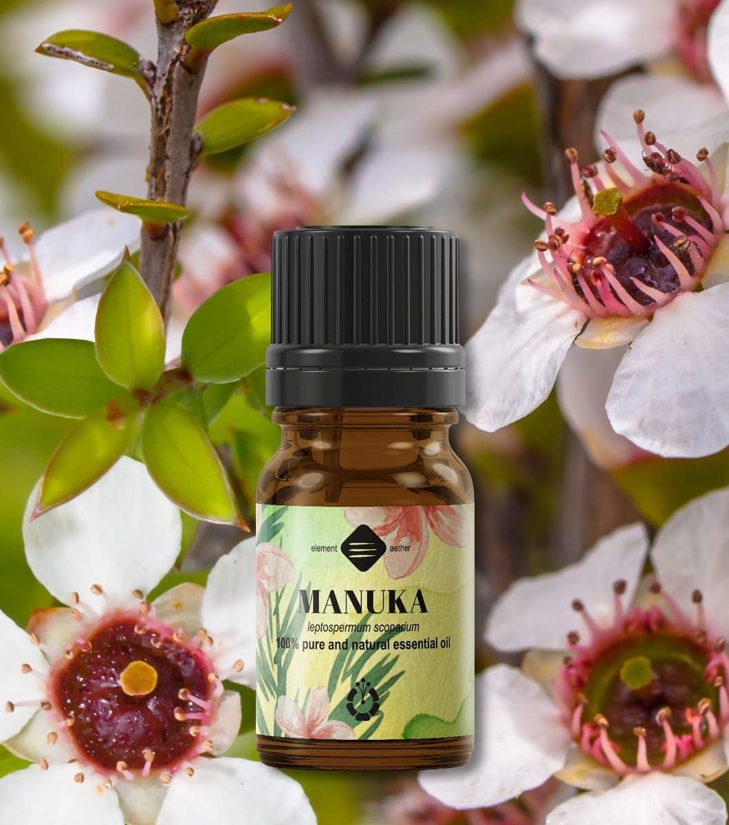 Ellemental, Ulei esențial de Manuka, 5 ml - 1 | YEO