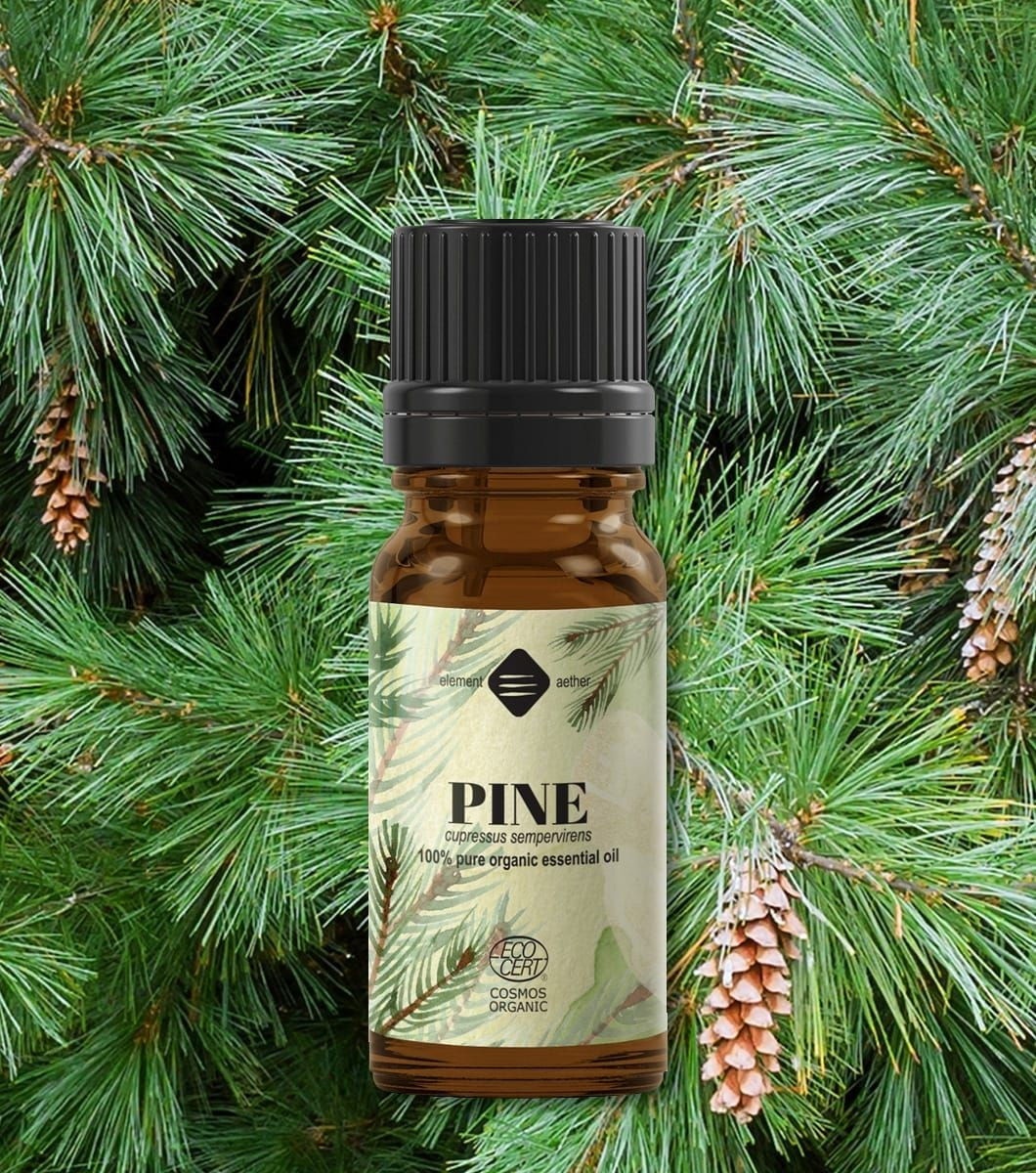 Ellemental, Ulei esențial de Pin Silvestru Bio, 10 ml - 1 | YEO