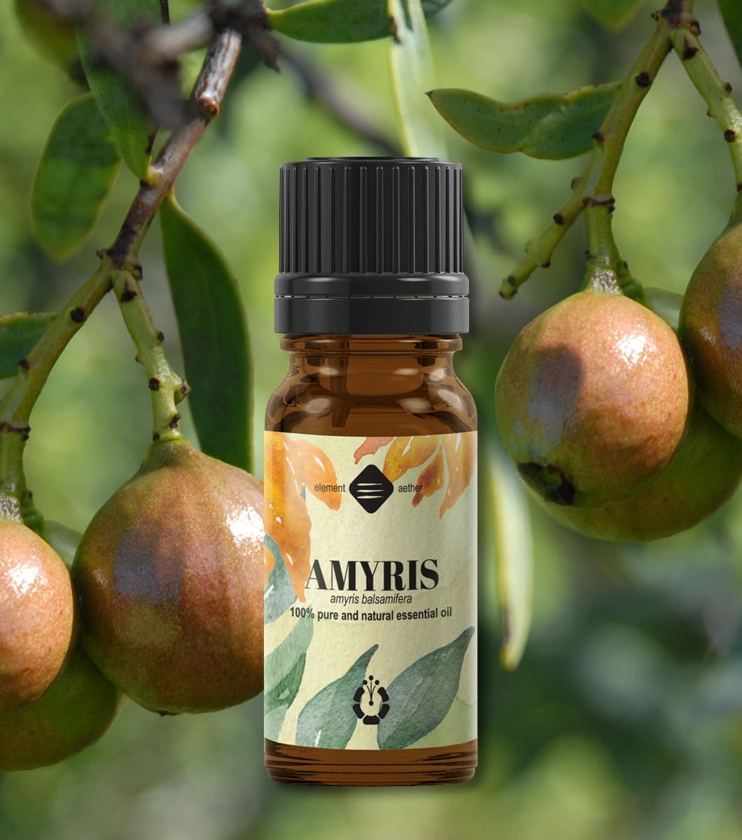 Ellemental, Ulei esențial de Santal Amyris, 10 ml - 1 | YEO