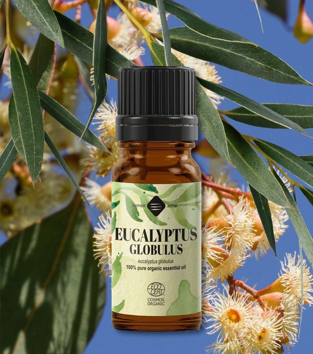 Ellemental, Ulei esențial de Eucalipt Globulus Bio, 10 ml - 1 | YEO