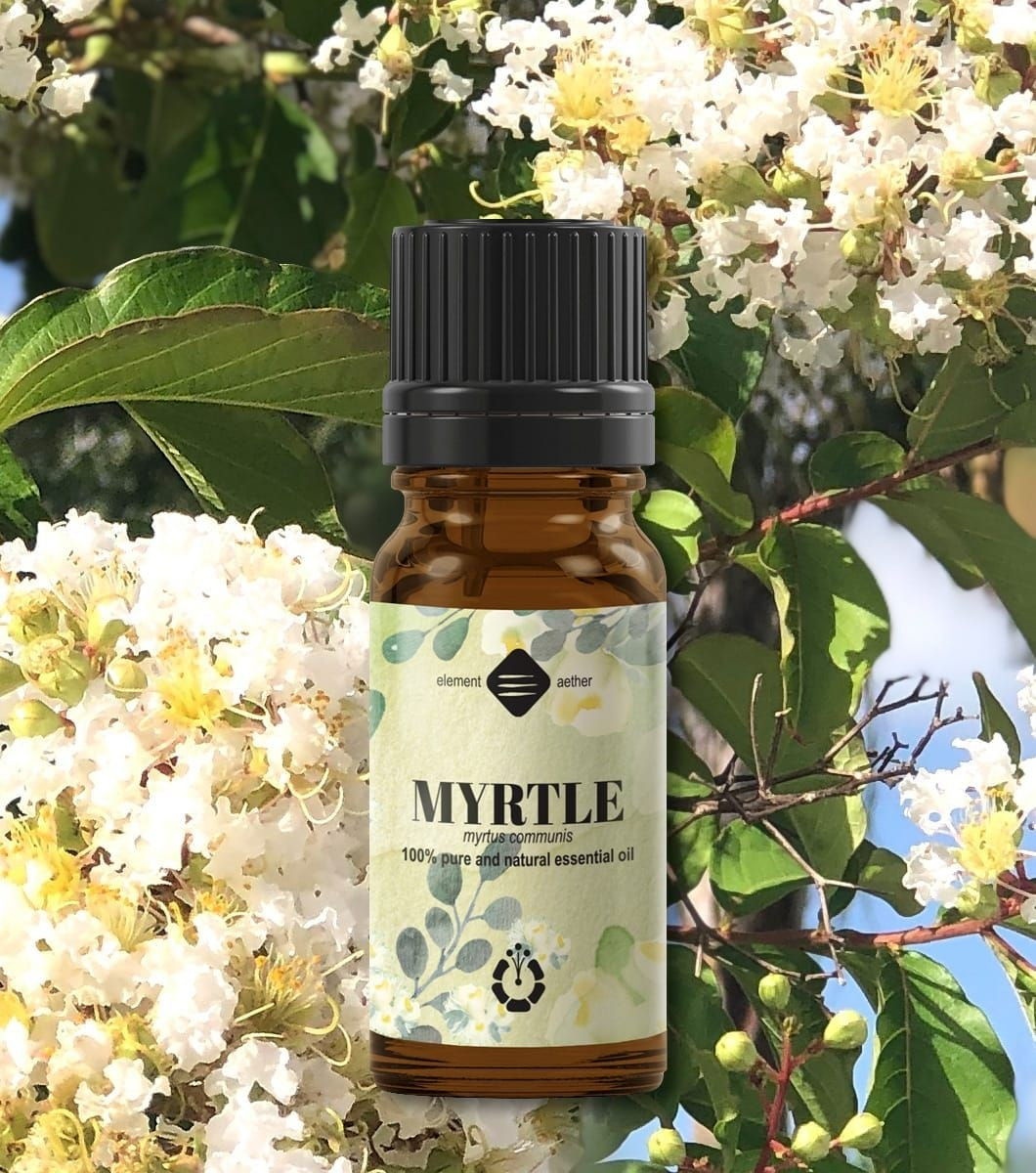Ellemental, Ulei esențial de Mirt verde, 10 ml - 1 | YEO