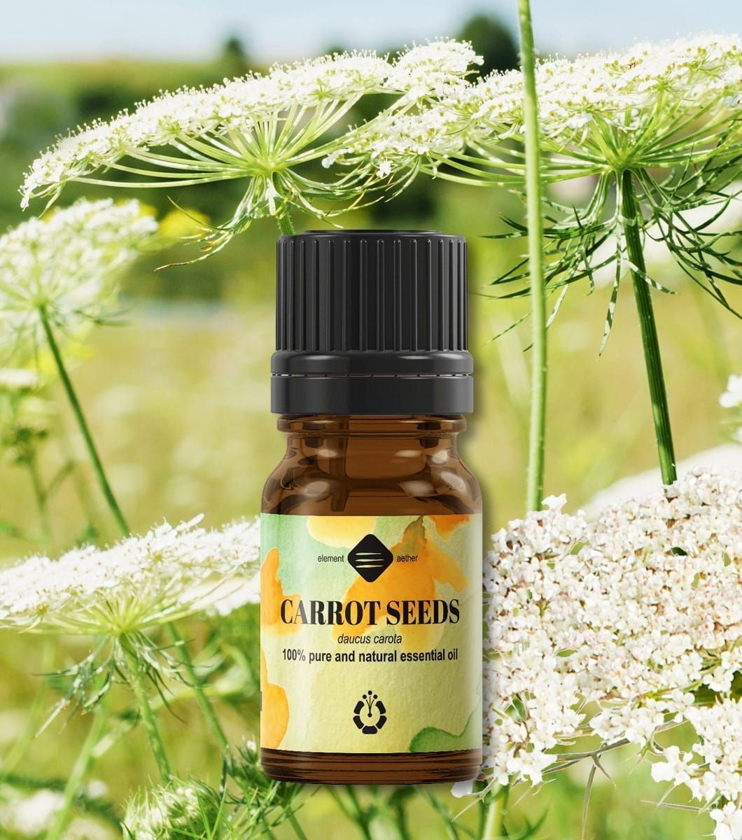 Ellemental, Ulei esențial de Semințe de Morcov, 5 ml - 1 | YEO