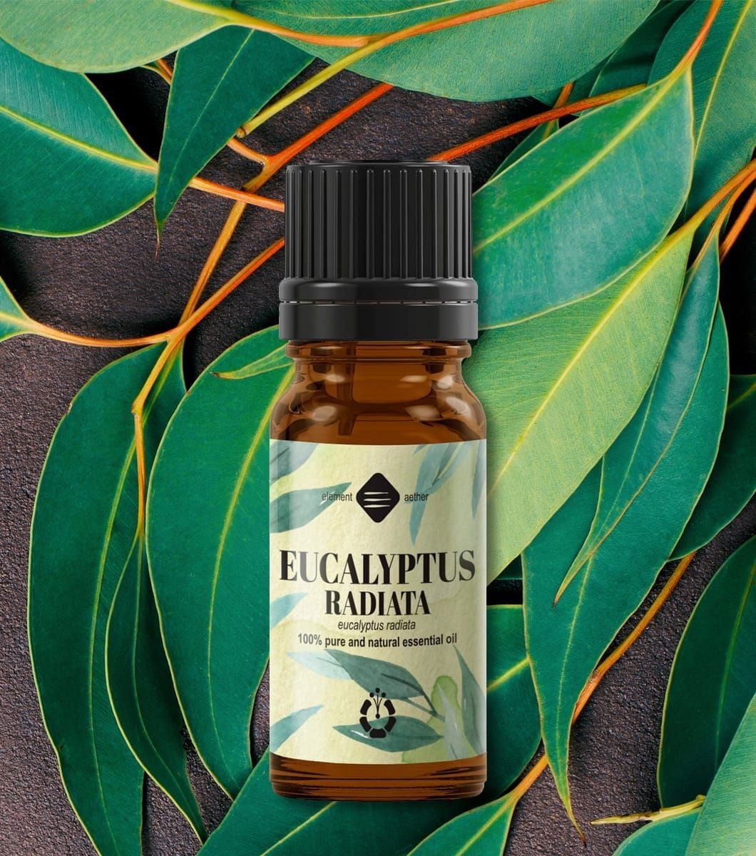 Ellemental, Ulei esențial de Eucalipt Radiata, 10 ml - 1 | YEO