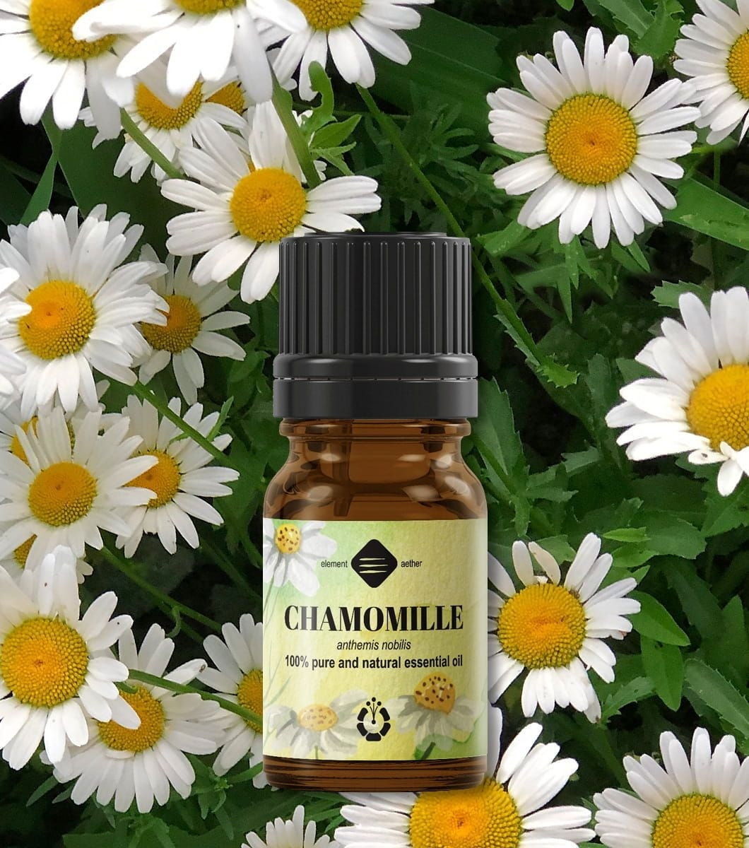 Ellemental, Ulei esențial de Mușețel Roman, 5 ml - 1 | YEO