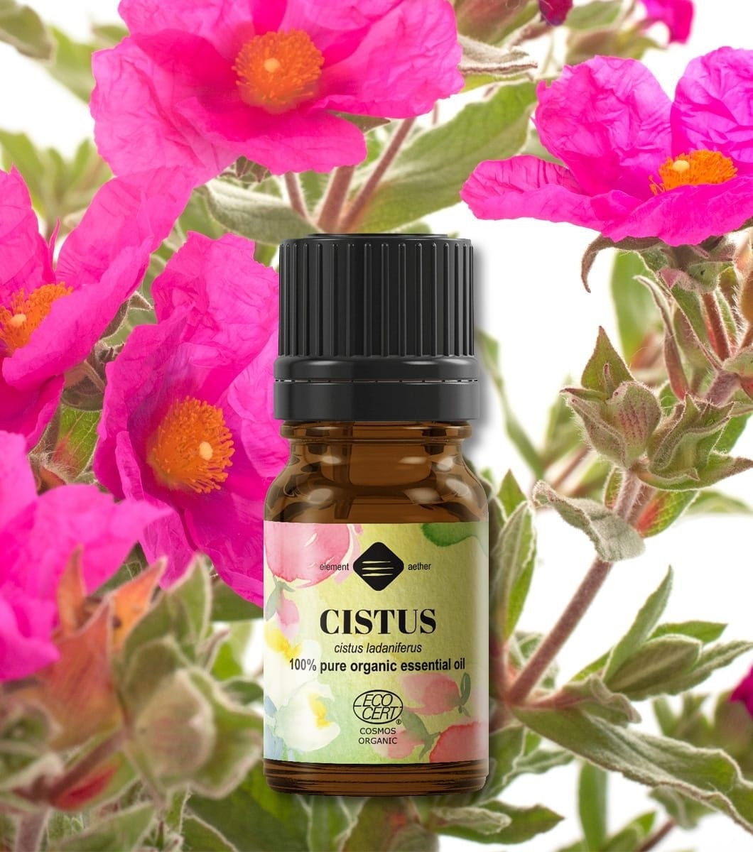 Ellemental, Ulei esențial de Cistus Bio, 5 ml - 1 | YEO