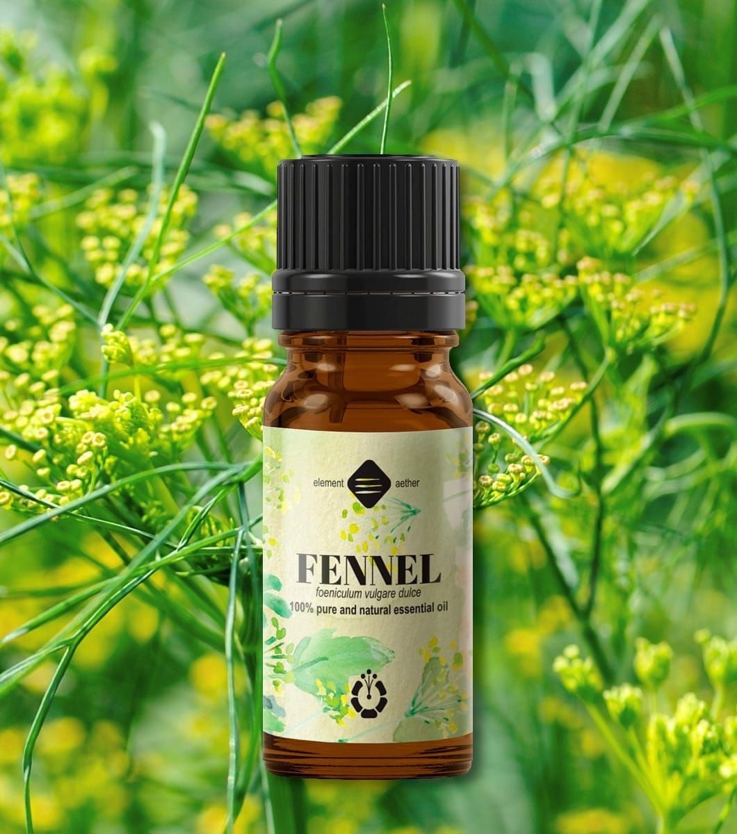 Ellemental, Ulei esențial de Fenicul dulce, 10 ml - 1 | YEO