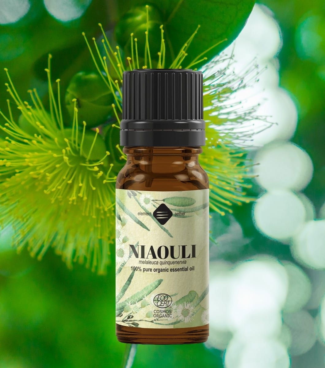 Ellemental, Ulei esențial de Niaouli Bio, 10 ml - 1 | YEO