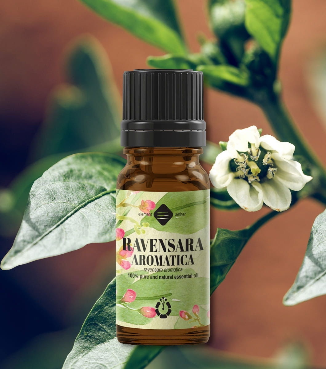 Ellemental, Ulei esențial de Ravensara aromatica, 10 ml - 1 | YEO