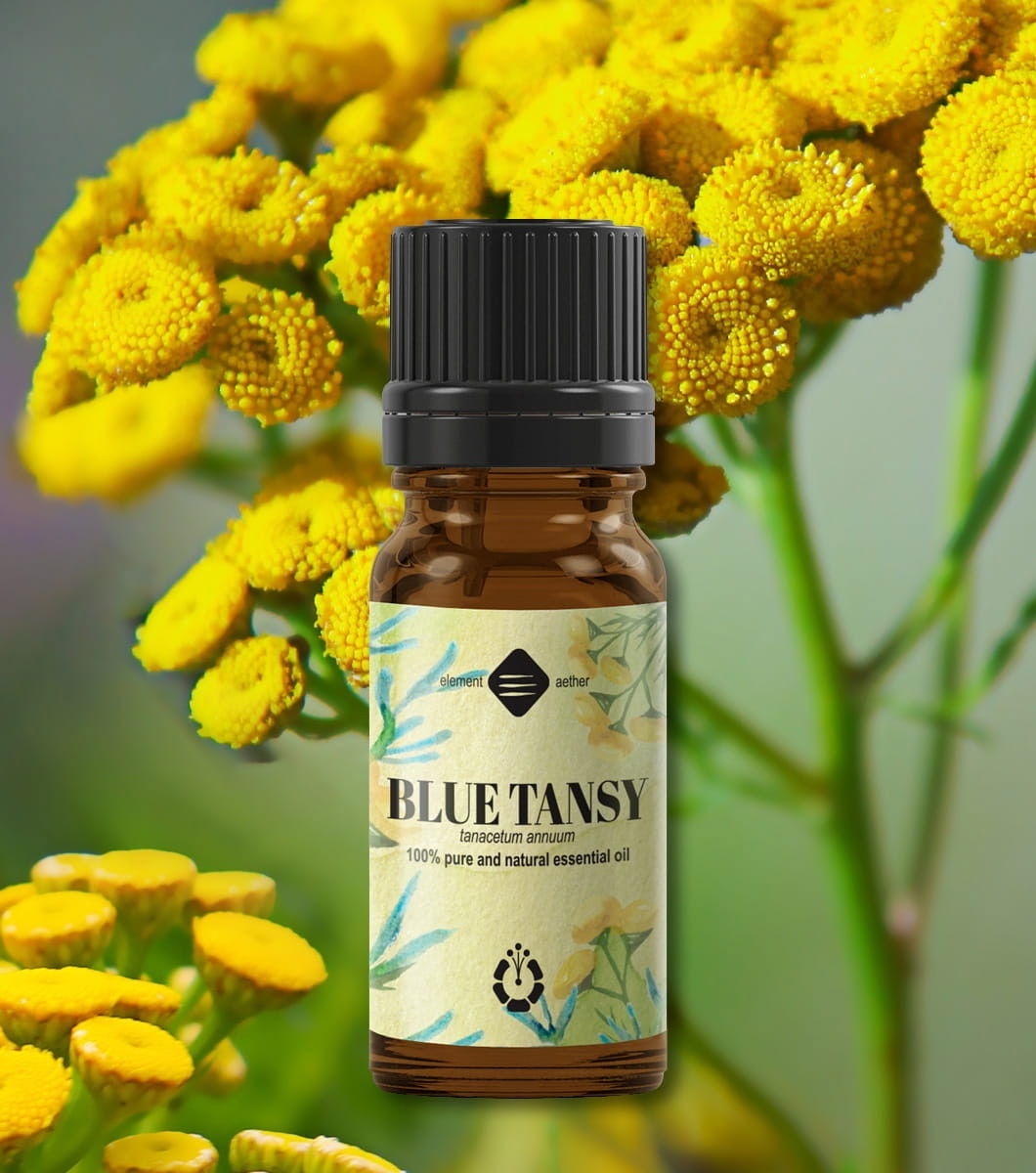 Ellemental, Ulei esențial de Blue Tansy, 2 ml - 1 | YEO
