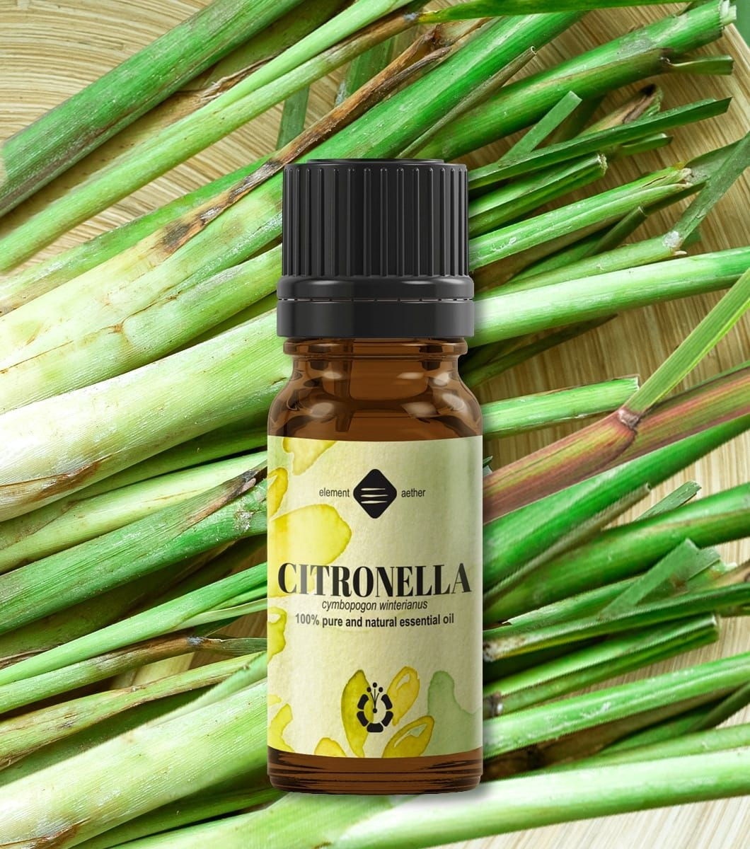 Ellemental, Ulei esențial de Citronella, 10 ml - 1 | YEO
