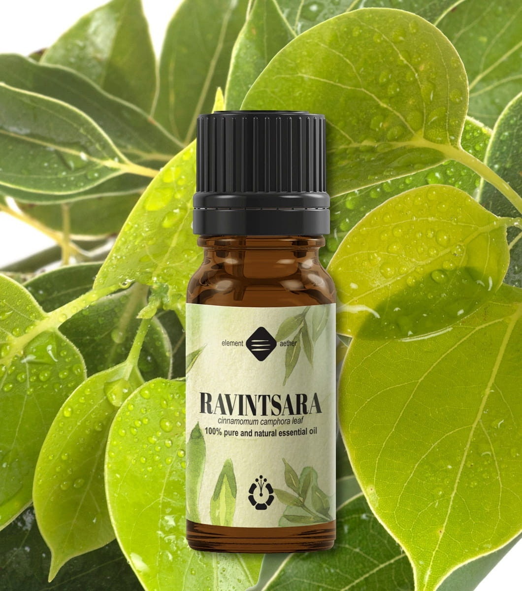 Ellemental, Ulei esențial de Ravintsara, 10 ml - 1 | YEO