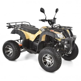 Motociclete si ATV-uri pe combustibil