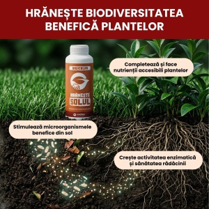 Îngrășământ Hrănește Solul pentru sol sănătos, echilibrat și fertil, 5 l, Gazonul - Img 3