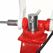 Motocultor BISONTE Agro Garden BTA-750 FR latime lucru 560–830mm adancime 300mm motor 7cp (FR-FC) - Img 2