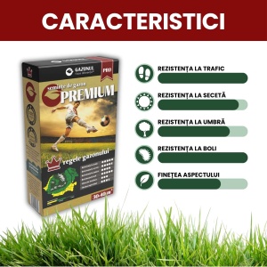Semințe de gazon Premium tip sport cu rezistență la trafic, boli și secetă 4 kg, Gazonul - Img 2
