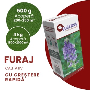 Semințe de Lucernă pentru furaj calitativ, 500 g, Gazonul - Img 3