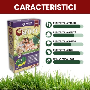 Semințe Gazon Select, pentru un covor verde, fin și de durată 20 kg, Gazonul - Img 2