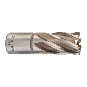 Carota HSS cu prindere Weldon, Ø19mmx30mm, 4932343275 Milwaukee