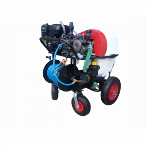Pulverizator mobil Gardelina DVS B100 Briggs & Stratton Electric Start