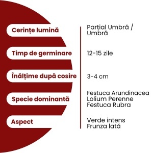 Semințe Gazon Umbră pentru livezi, spații umbrite și semiumbrite 4kg, Gazonul - Img 4