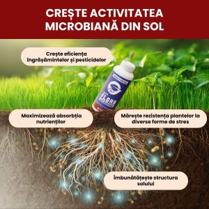 Biostimulator Flora Microbiană pentru rădăcini puternice și mobilizarea nutrienților, 1 l, Gazonul - Img 4