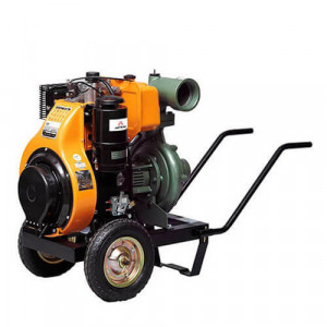 MOTOPOMPA ANTOR , 4LD820LY3-ES, sorb cu clapeta, stuturi , coliere, FARA ACUMULATOR