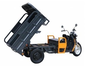 Triciclu Electric Cargo Progarden TRIVO 3000, 25km/h, 72V, 58Ah, incarcator inclus - Img 4