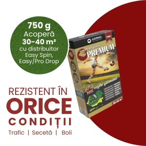 Semințe de gazon Premium tip sport cu rezistență la trafic, boli și secetă 4 kg, Gazonul - Img 3