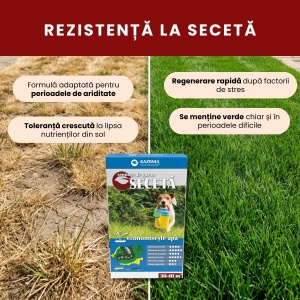 Semințe Gazon Secetă pentru climat uscat și zone fără sistem de irigare 20 kg, Gazonul - Img 2