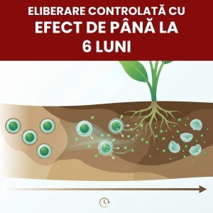 Îngrășământ Dual cu eliberare controlată și efect până la 6 luni, 5 kg, Gazonul - Img 2